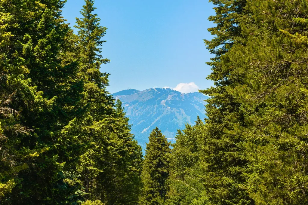 205 Whitetail Lane Whitefish MT 59937