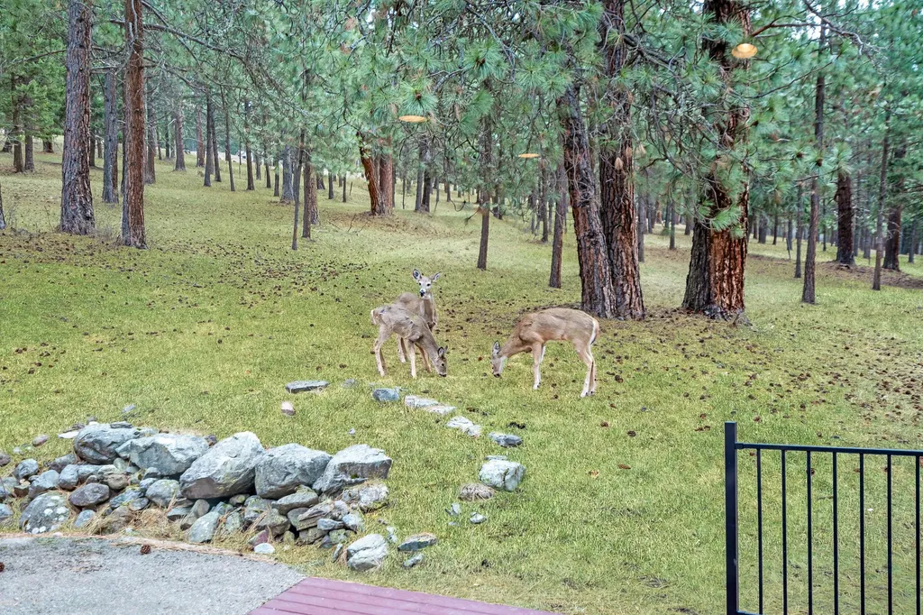 32415 Alpine Place Polson MT 59860