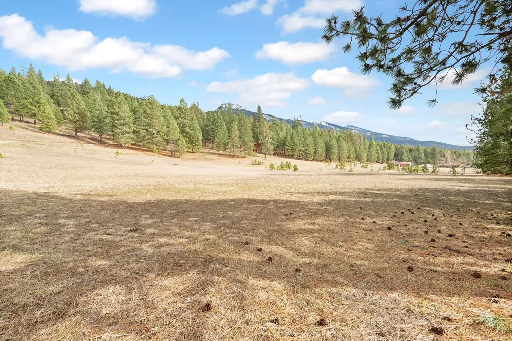 32415 Alpine Place Polson MT 59860