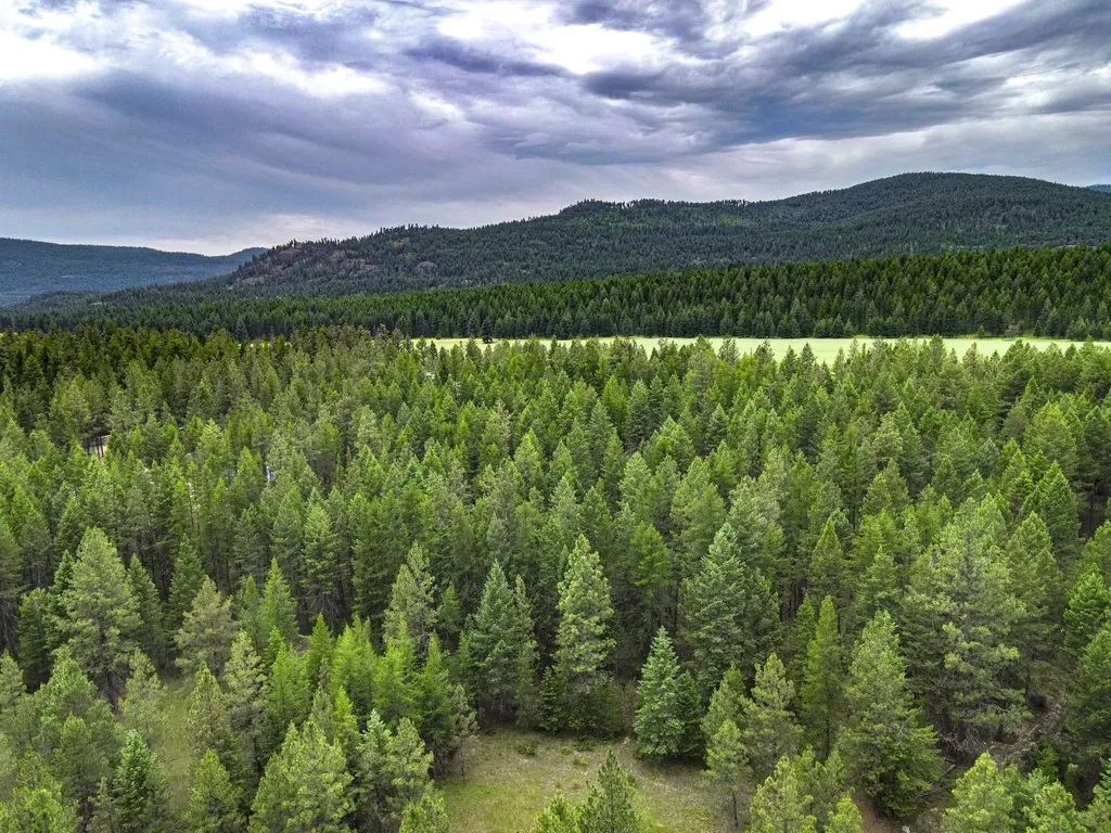 546 Bald Rock Road Kalispell MT 59901