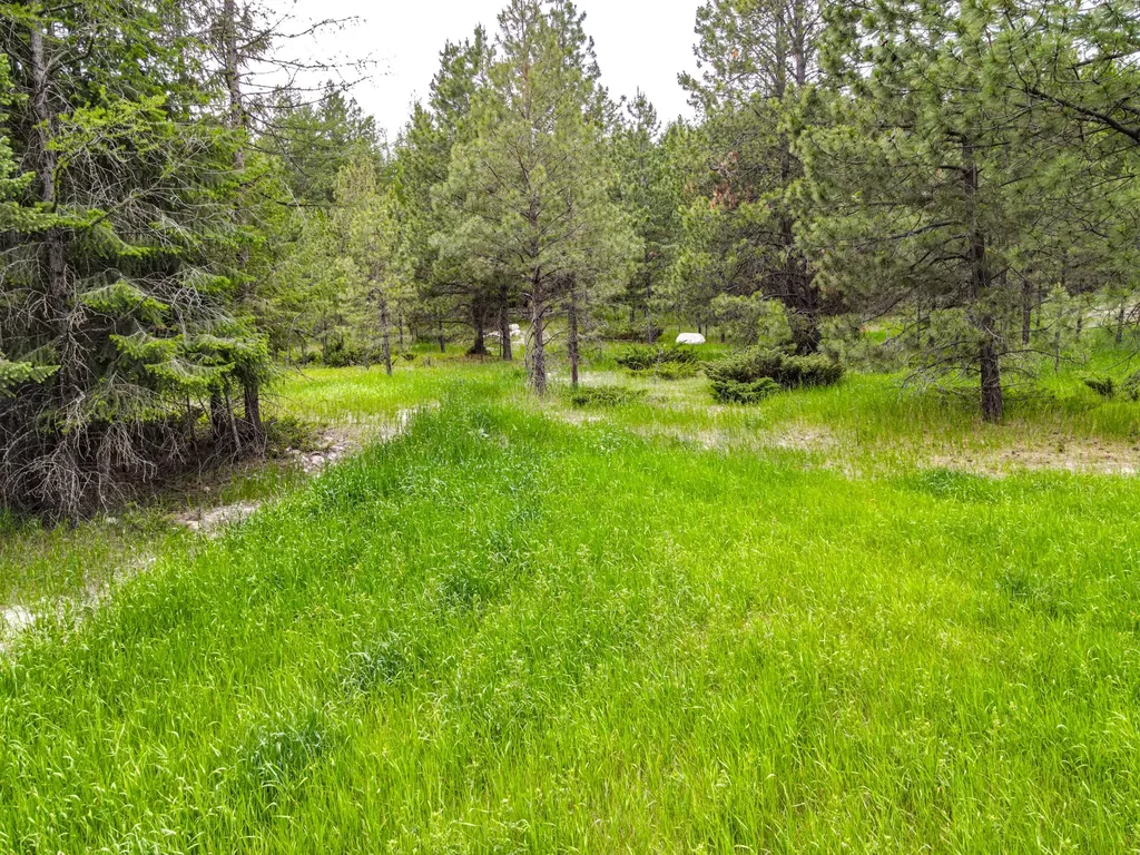 546 Bald Rock Road Kalispell MT 59901