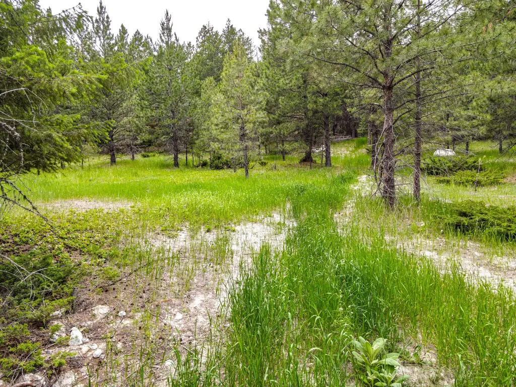 546 Bald Rock Road Kalispell MT 59901