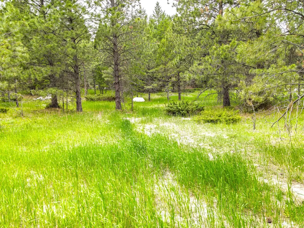 546 Bald Rock Road Kalispell MT 59901