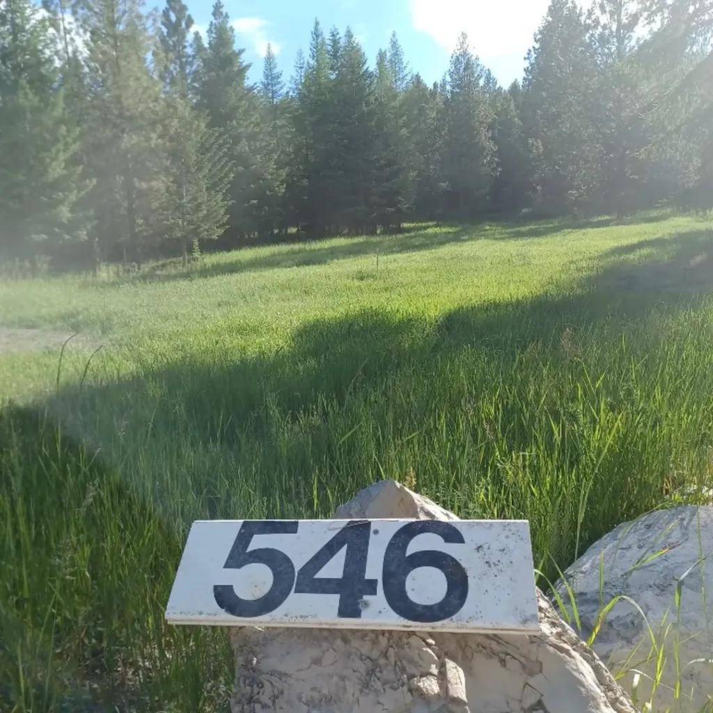 546 Bald Rock Road Kalispell MT 59901