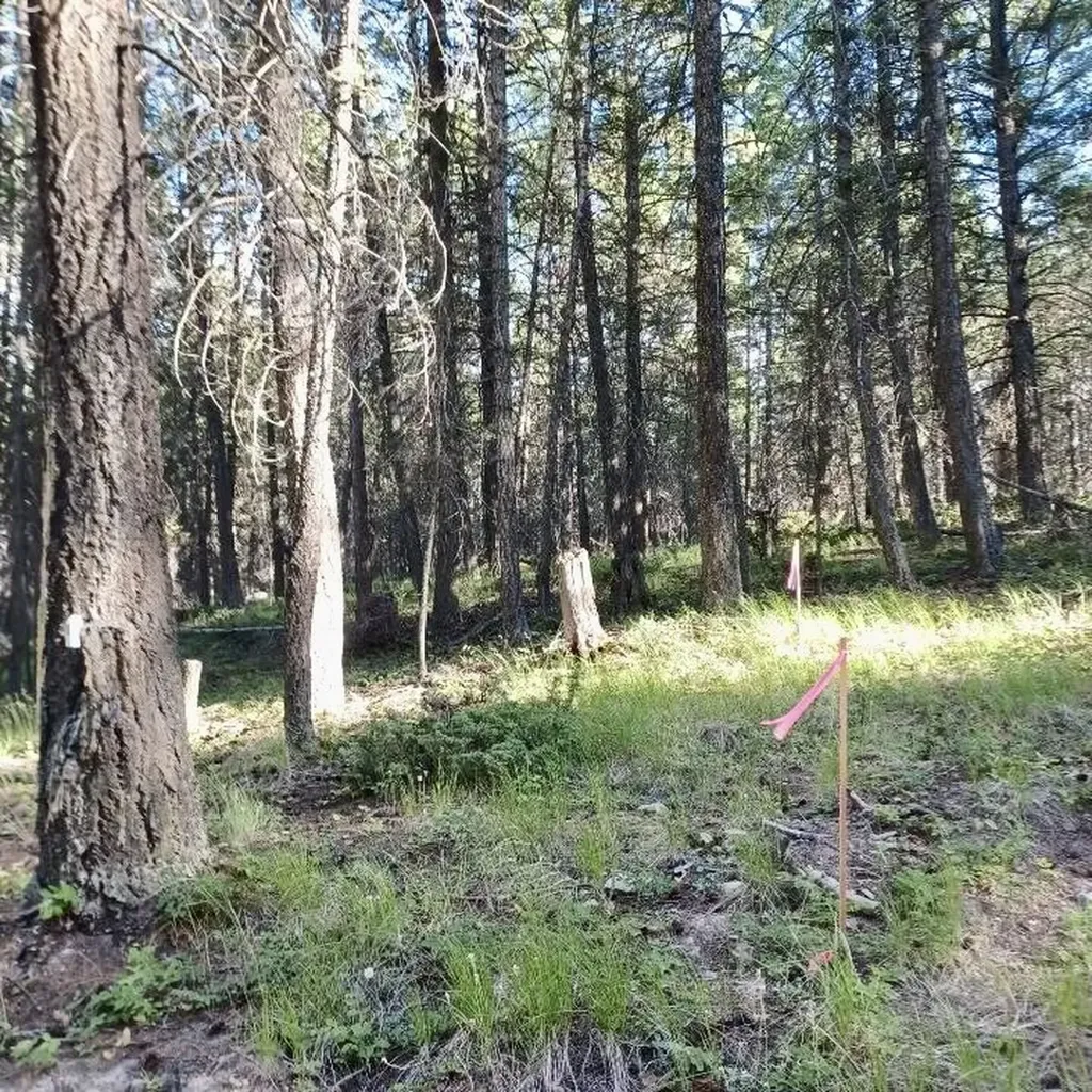 546 Bald Rock Road Kalispell MT 59901