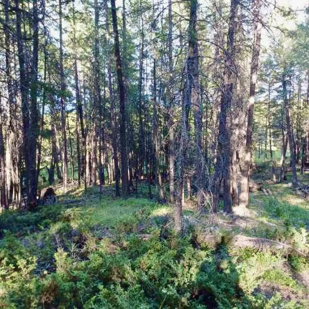 546 Bald Rock Road Kalispell MT 59901