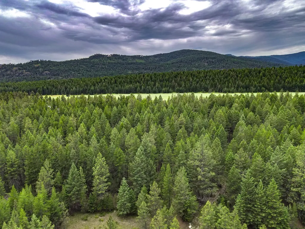 546 Bald Rock Road Kalispell MT 59901