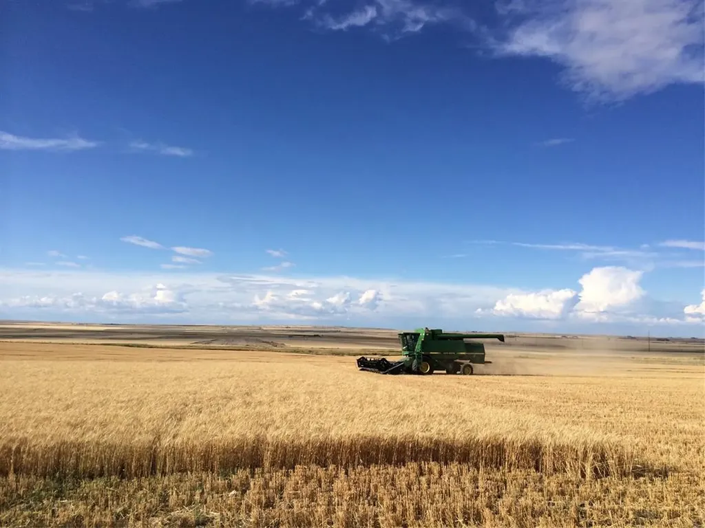 Nhn 12th Lane NE Dutton MT 59433