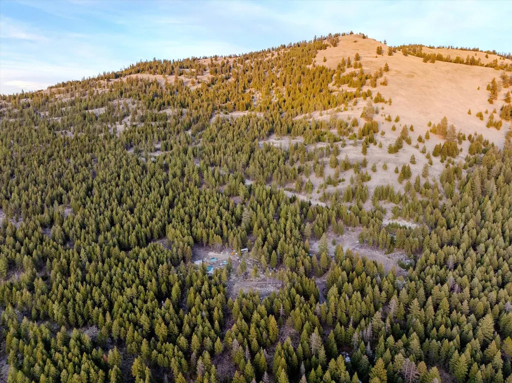 260 Wild Horse Trail Kila MT 59920