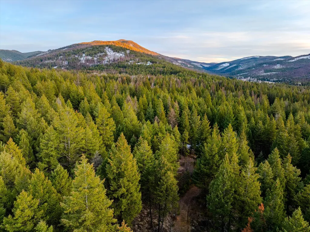 260 Wild Horse Trail Kila MT 59920