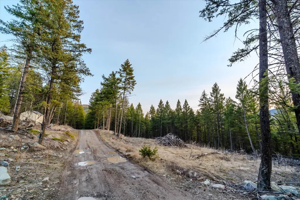 260 Wild Horse Trail Kila MT 59920