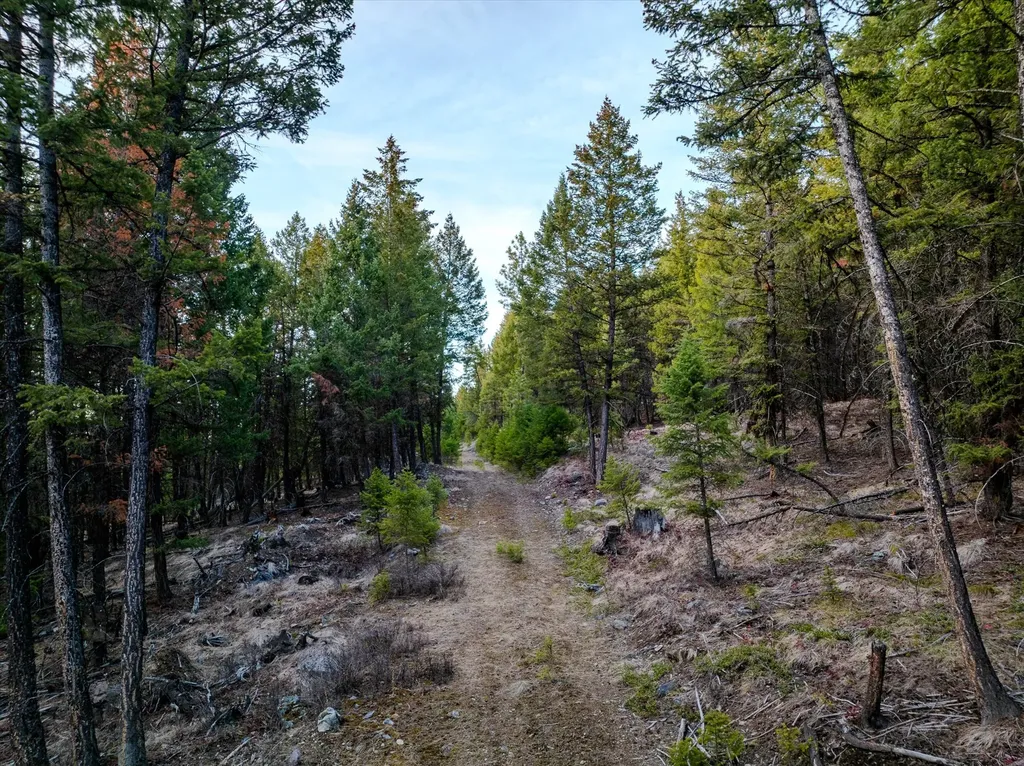 260 Wild Horse Trail Kila MT 59920
