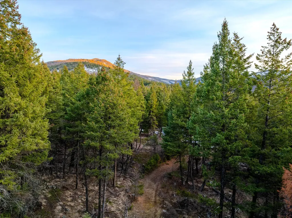 260 Wild Horse Trail Kila MT 59920