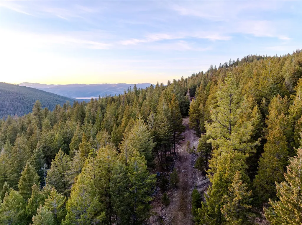 260 Wild Horse Trail Kila MT 59920
