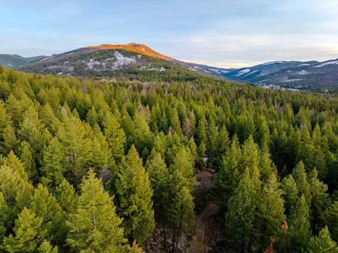 260 Wild Horse Trail Kila MT 59920