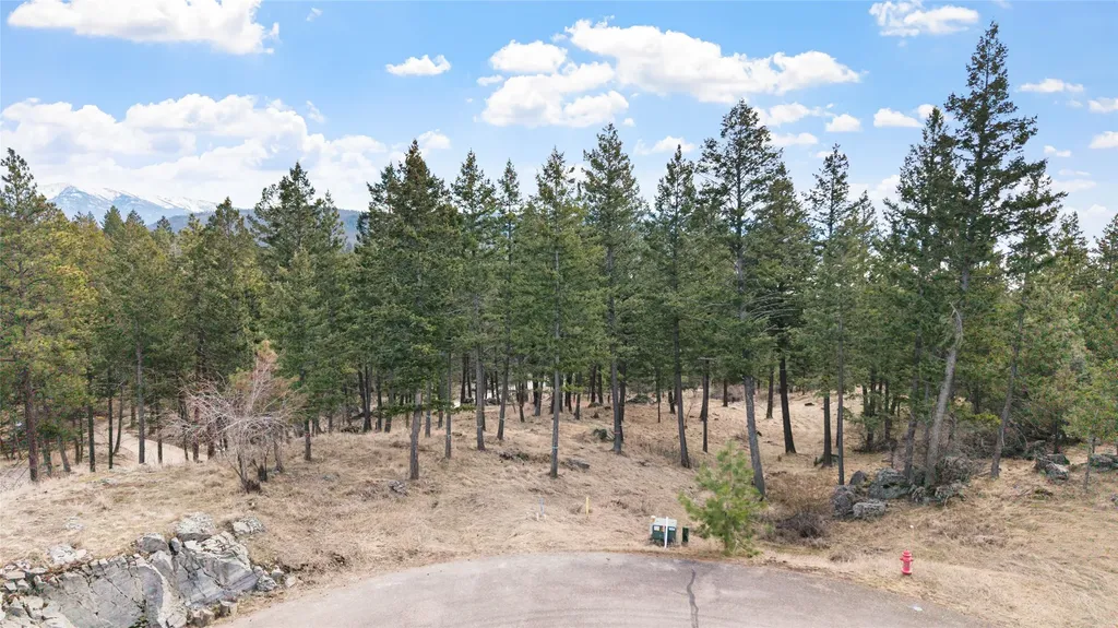87 Rock Ridge Way Bigfork MT 59911