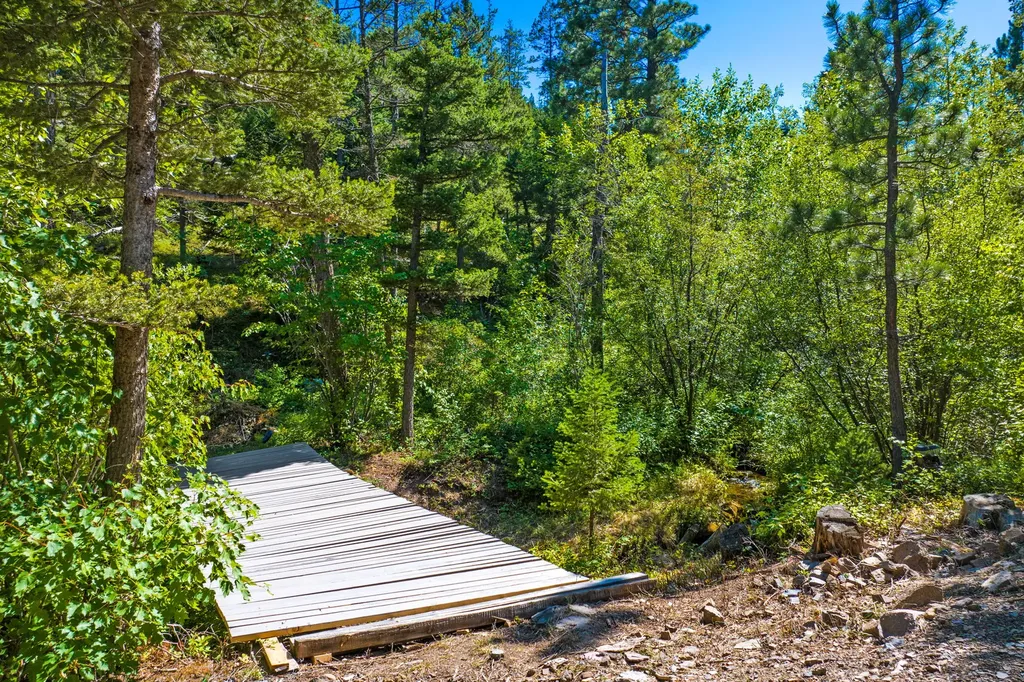 4253 Woods Creek Road Wolf Creek MT 59648