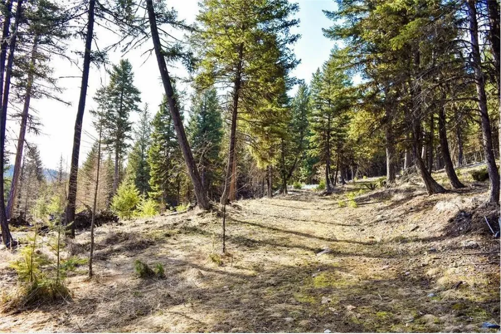 270 Tomahawk Trail Fortine MT 59918