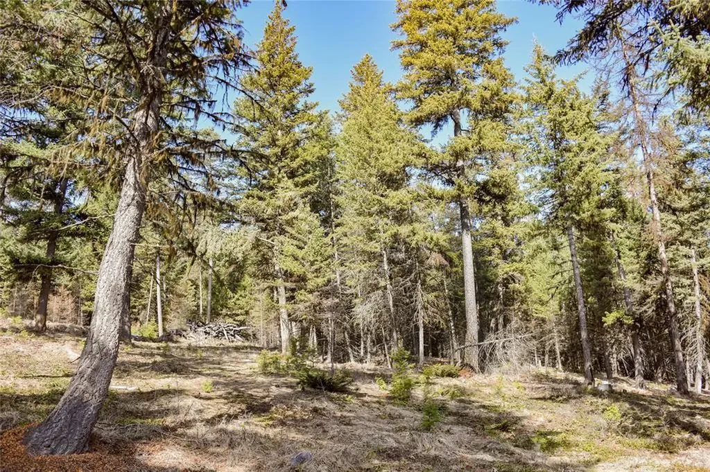 270 Tomahawk Trail Fortine MT 59918