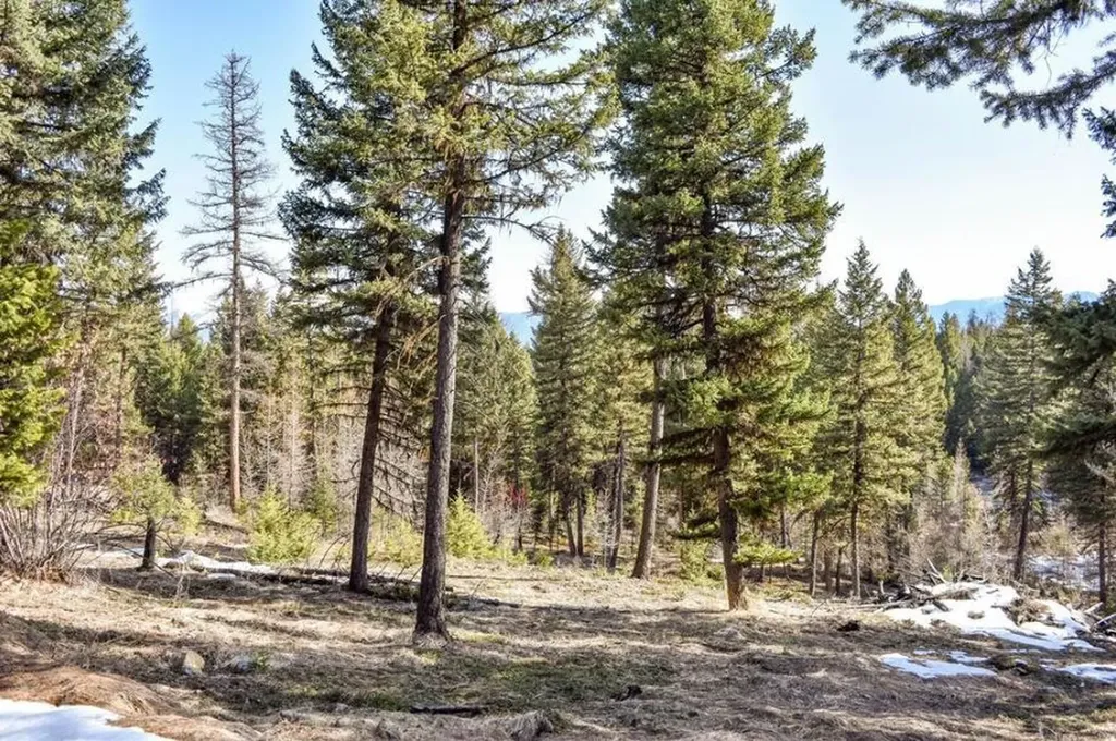 270 Tomahawk Trail Fortine MT 59918