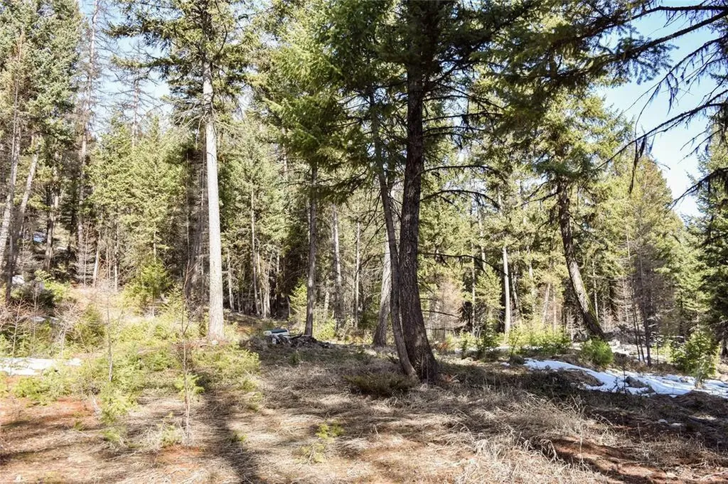 270 Tomahawk Trail Fortine MT 59918