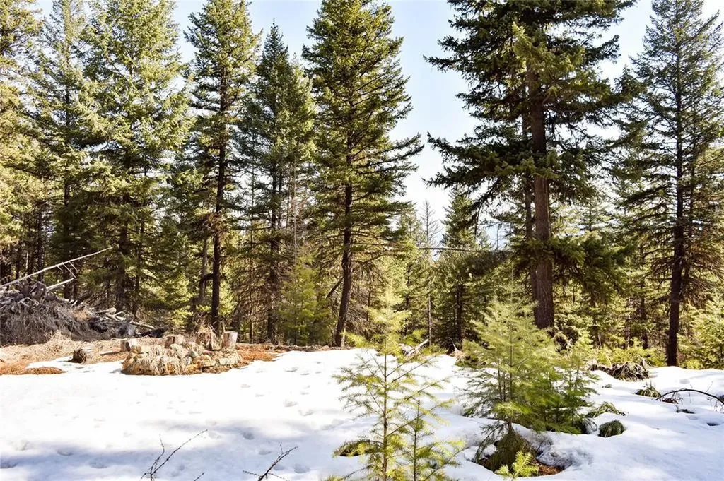 270 Tomahawk Trail Fortine MT 59918