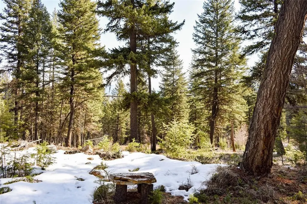 270 Tomahawk Trail Fortine MT 59918