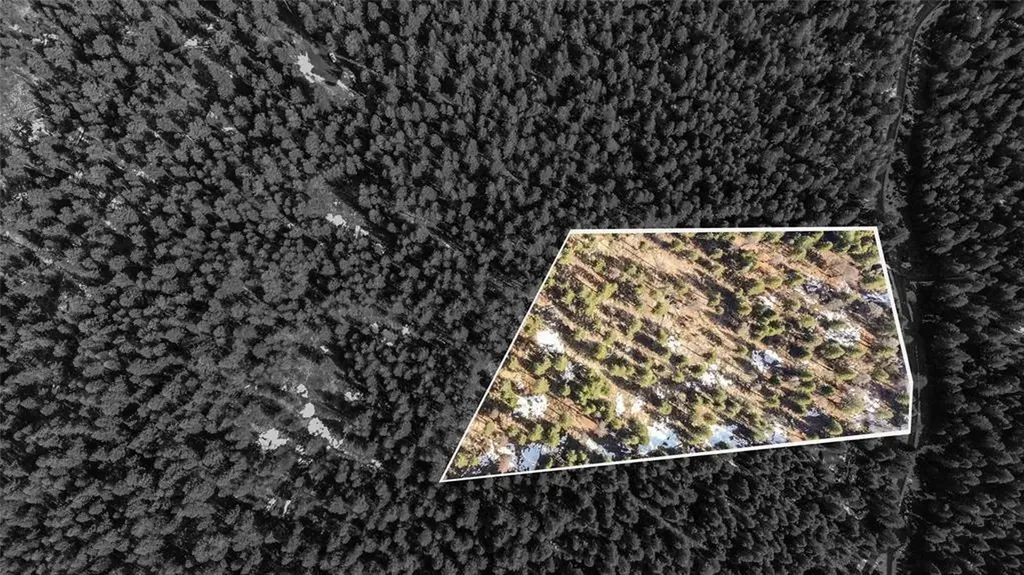 270 Tomahawk Trail Fortine MT 59918