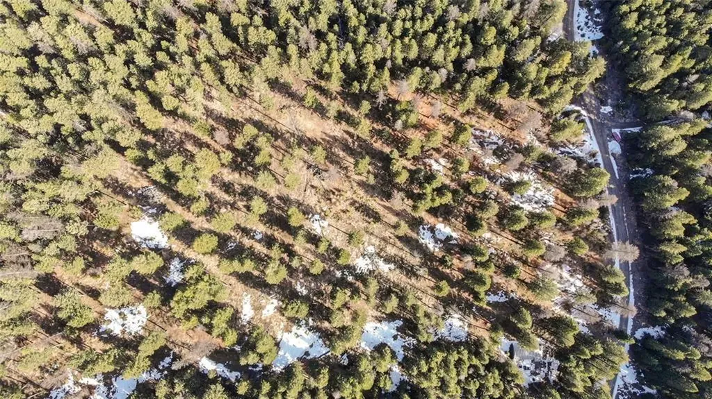 270 Tomahawk Trail Fortine MT 59918
