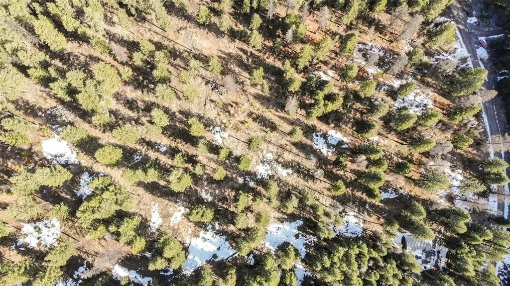 270 Tomahawk Trail Fortine MT 59918