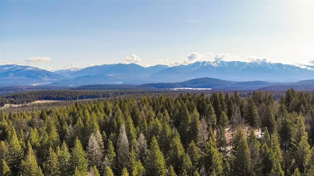270 Tomahawk Trail Fortine MT 59918