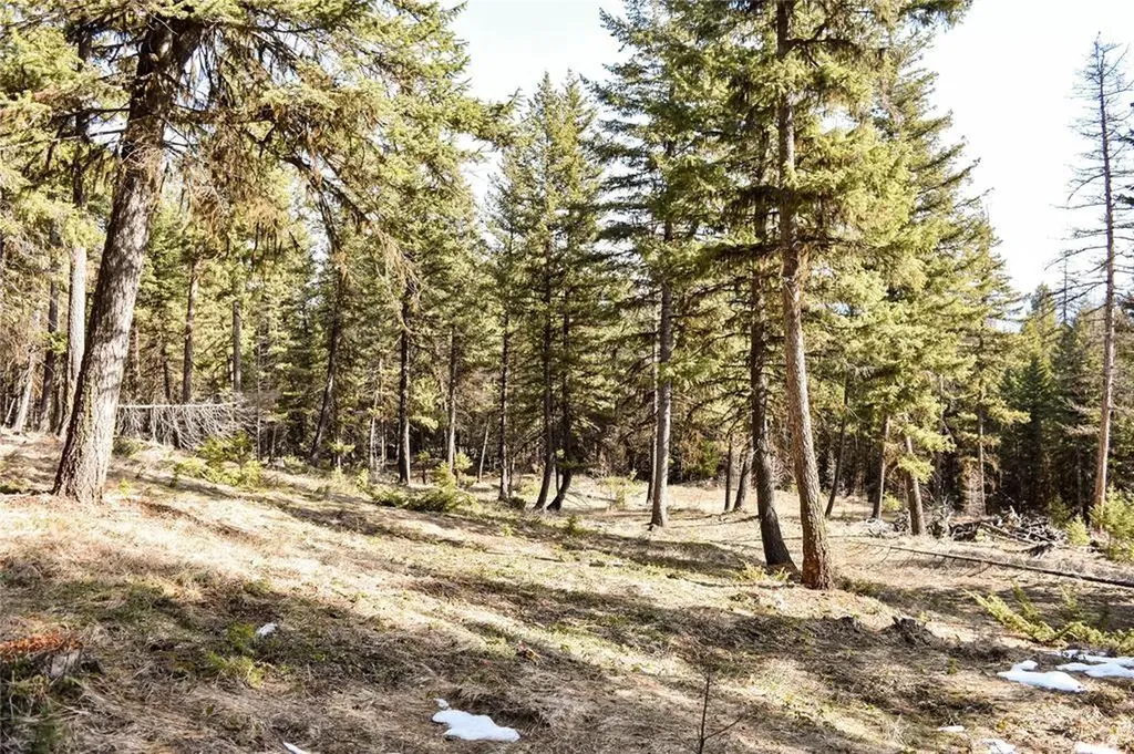 270 Tomahawk Trail Fortine MT 59918
