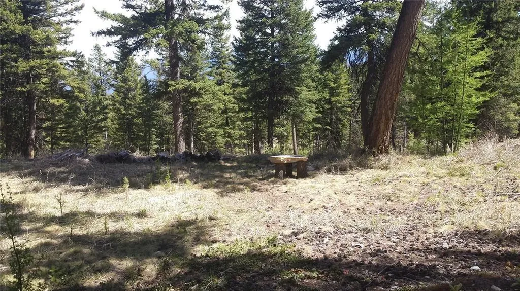 270 Tomahawk Trail Fortine MT 59918