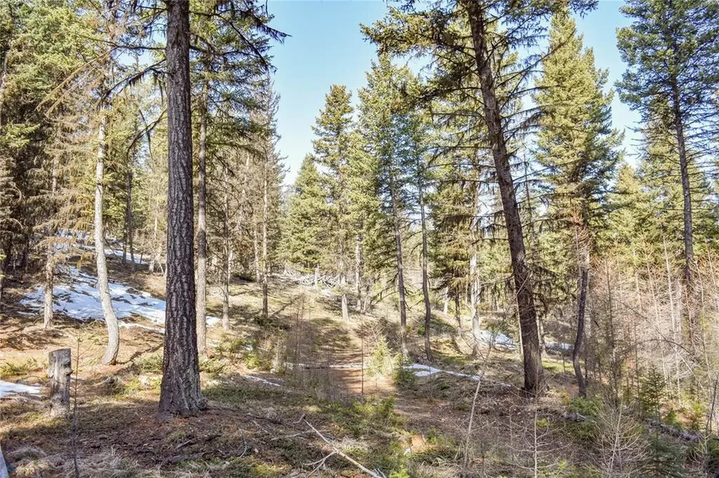 270 Tomahawk Trail Fortine MT 59918