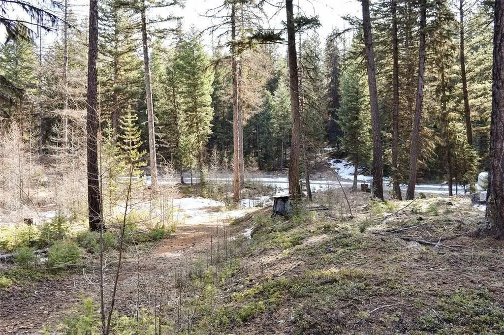 270 Tomahawk Trail Fortine MT 59918