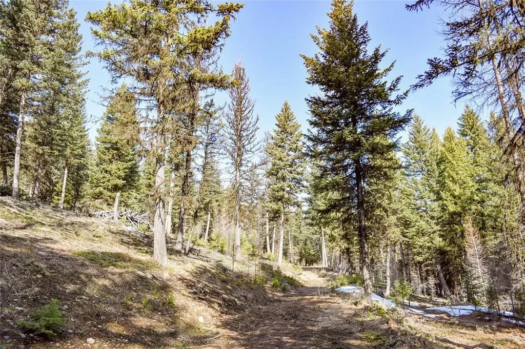 270 Tomahawk Trail Fortine MT 59918