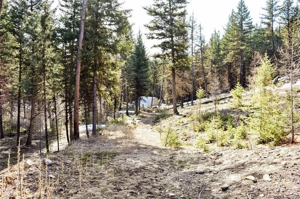 270 Tomahawk Trail Fortine MT 59918