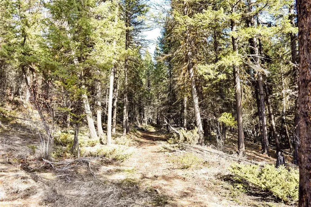270 Tomahawk Trail Fortine MT 59918