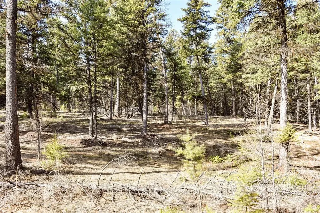 270 Tomahawk Trail Fortine MT 59918