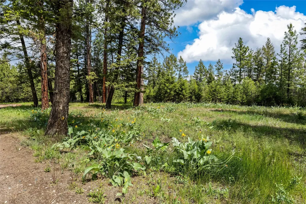 1762 Copper Cliff Drive Bonner MT 59823