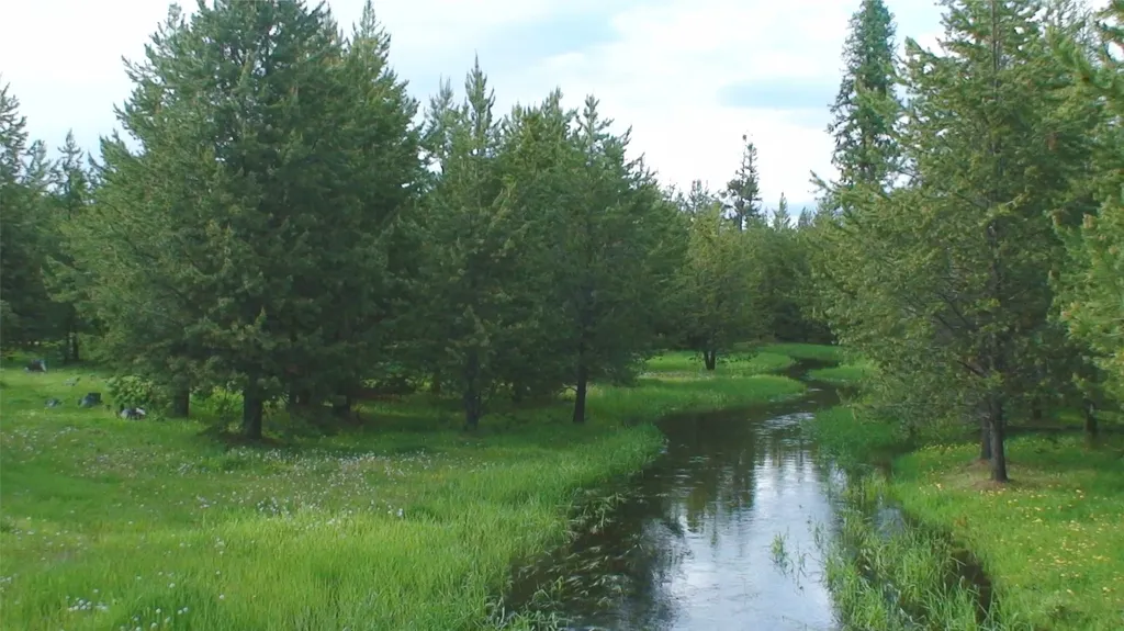 146 Discovery Loop Marion MT 59925