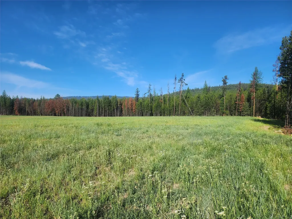 146 Discovery Loop Marion MT 59925