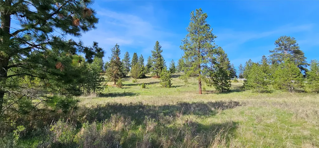 39784 Us Highway 93 Polson MT 59860