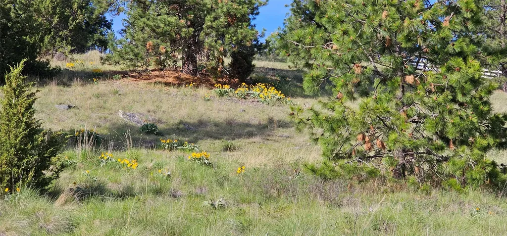 39784 Us Highway 93 Polson MT 59860