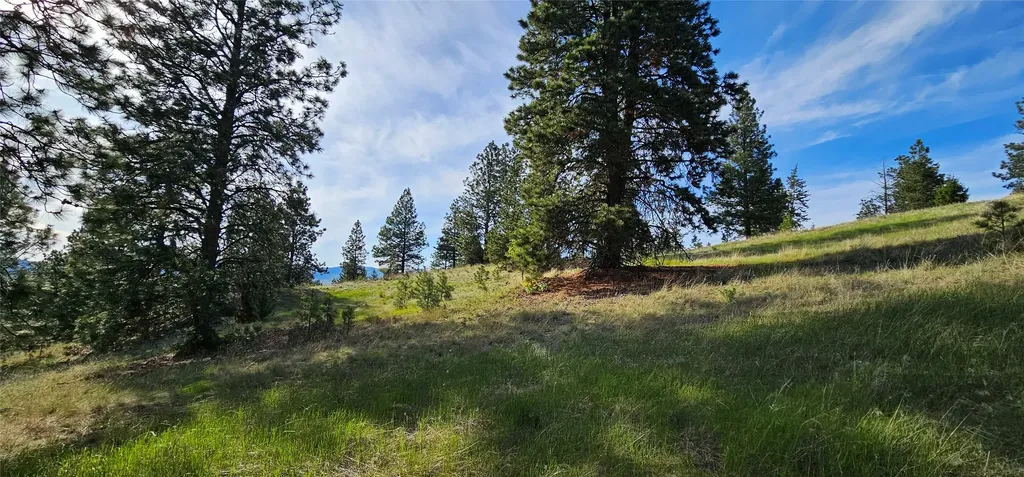 39784 Us Highway 93 Polson MT 59860
