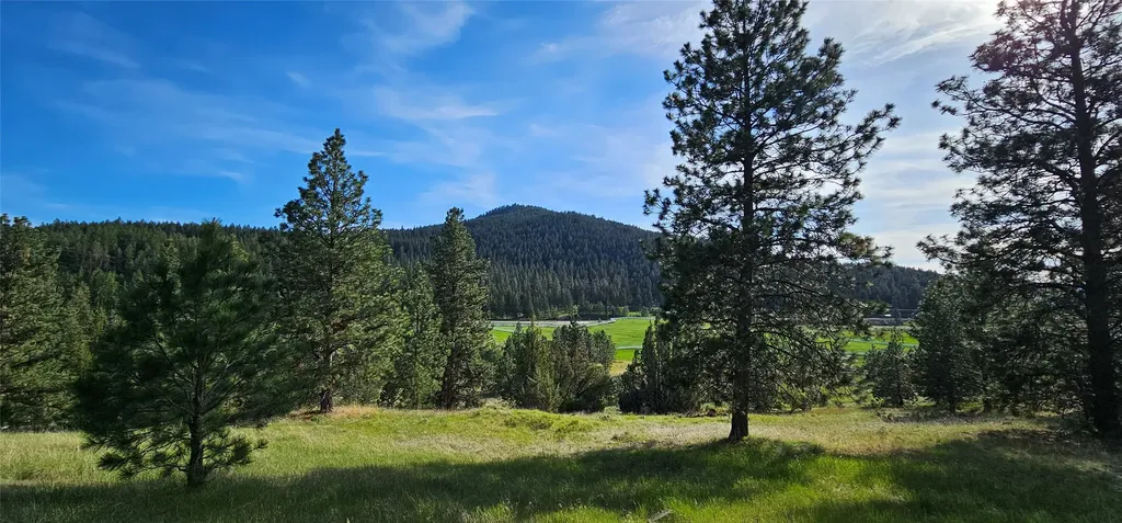 39784 Us Highway 93 Polson MT 59860
