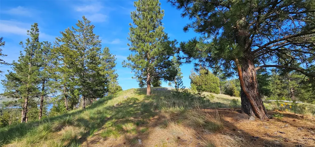 39784 Us Highway 93 Polson MT 59860