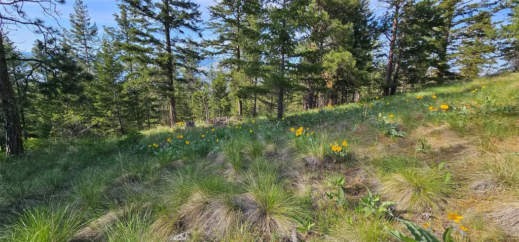39784 Us Highway 93 Polson MT 59860