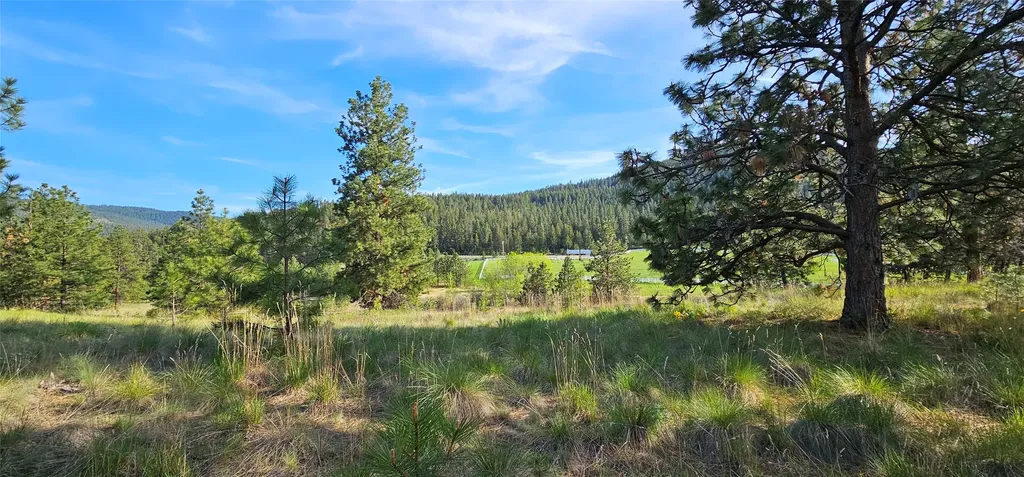 39784 Us Highway 93 Polson MT 59860