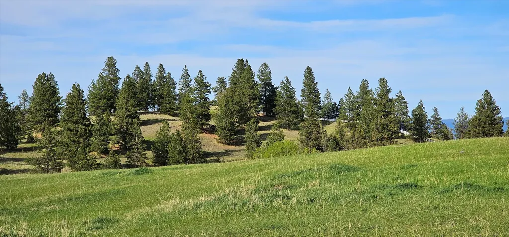 39784 Us Highway 93 Polson MT 59860